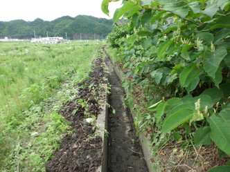 CIMG0504.jpg