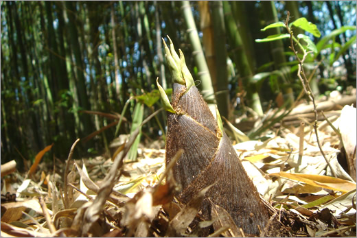 20060503-1.jpg