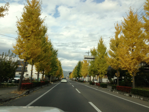 写真 2012-11-06 13 23 42