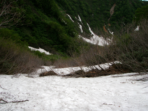 P7039694.jpg