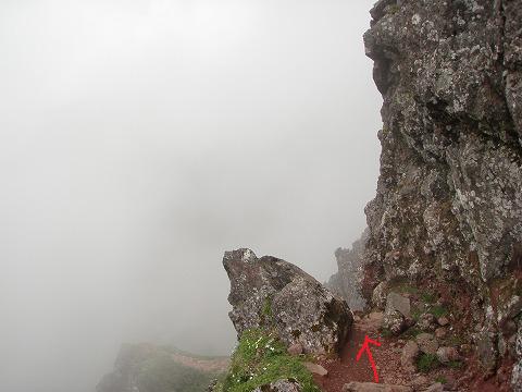 P7099914.jpg