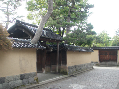 P7150239.jpg