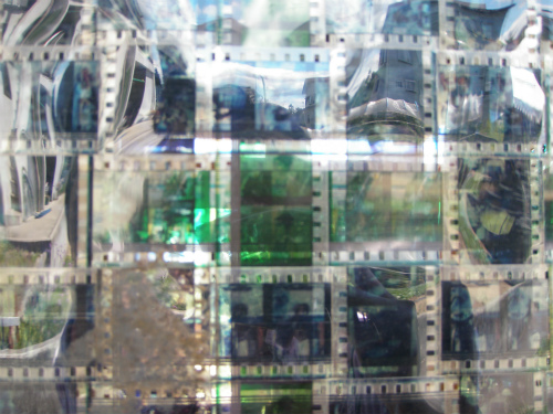 P9030011.jpg