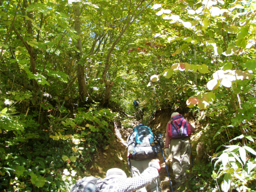 PA081746.jpg