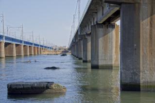 旧東海道：現在の馬入川橋梁を平塚川より見る