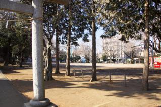 橋本・神明大神宮：境内の広場