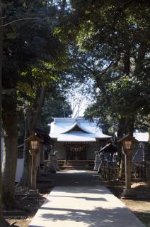 橋本・神明大神宮：参道より拝殿