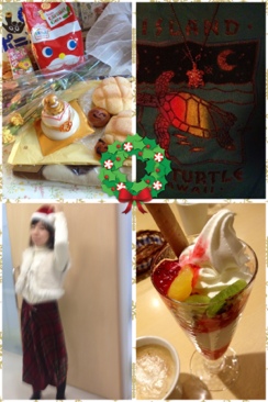 fc2blog_2012128800463973f.jpg