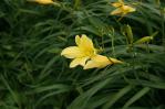 120620-5.jpg
