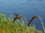 120902-12.jpg