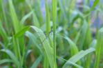 120902-9.jpg