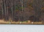 121107-1.jpg