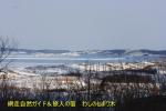 130116-4.jpg