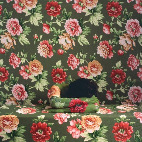 14_Camouflaged-Self-Portraits-by-Cecilia-Paredes-500x500.jpg
