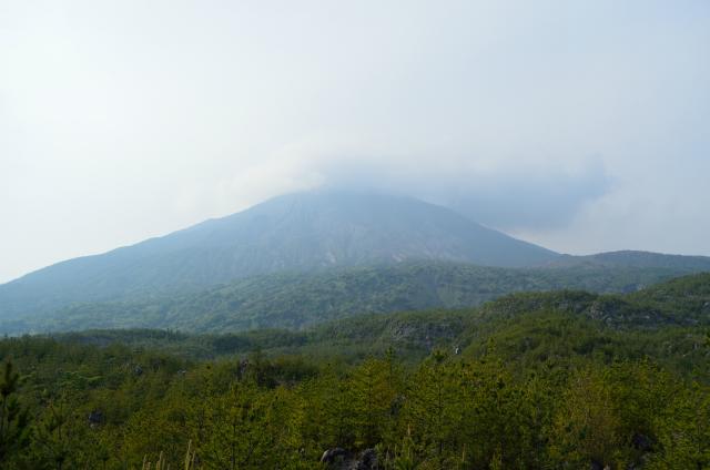 DSC_0637.jpg
