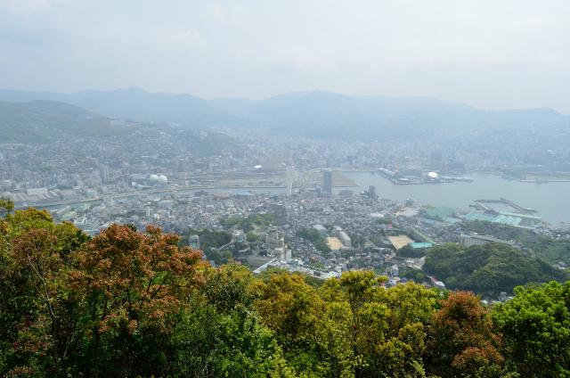 DSC_0784.jpg