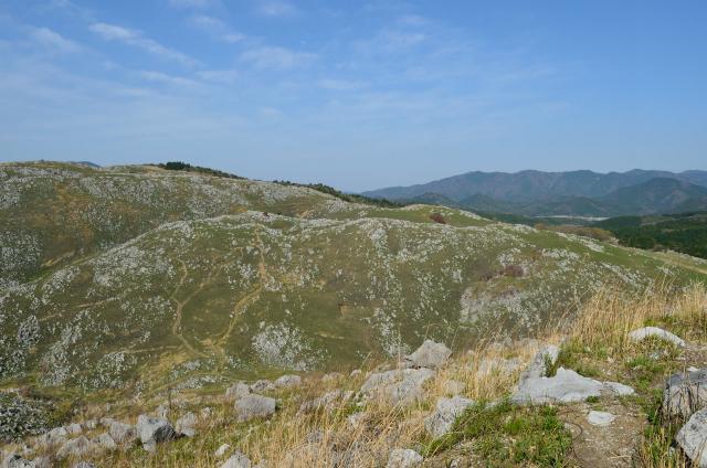DSC_1171.jpg