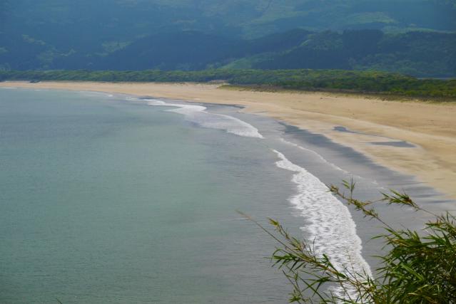 P1020099_1.jpg