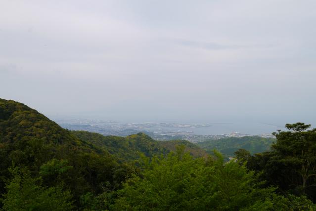 P1020153_1.jpg