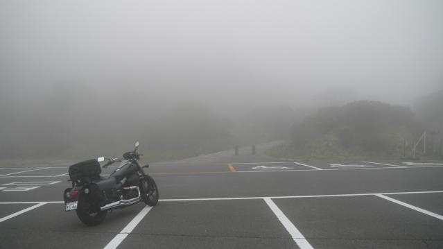 P1020262_1.jpg