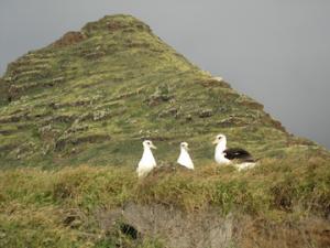 IMG_2144.jpg