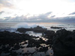 IMG_2174.jpg