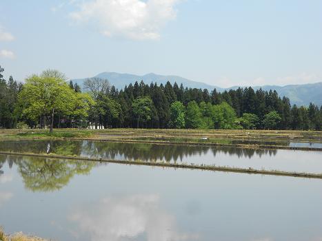 白鷹町 高玉