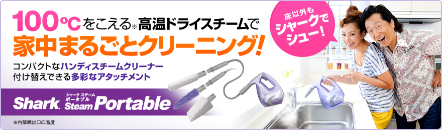 portable01_p01.jpg