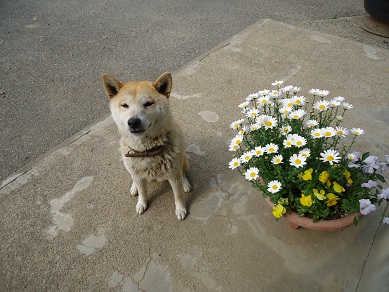 DSC00701.jpg