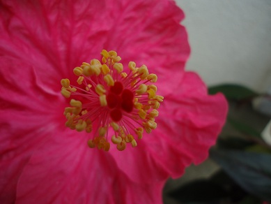 DSC01276.jpg