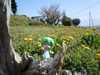 DSCN2576.jpg