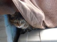 DSCN2578.jpg