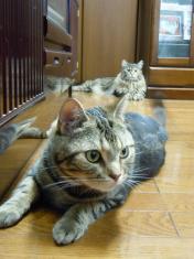DSCN2581.jpg