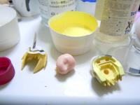 DSCN2669.jpg