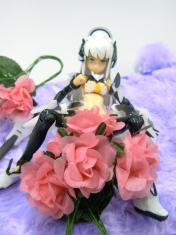 DSCN2773.jpg