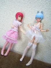 DSCN2835.jpg