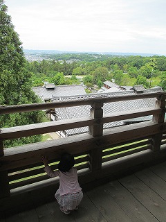 nara1 (4)
