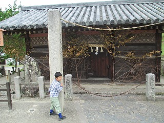 nara1 (5)