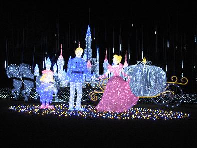 IMG_1427.jpg