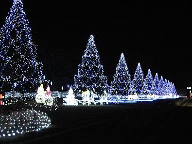 IMG_1428.jpg