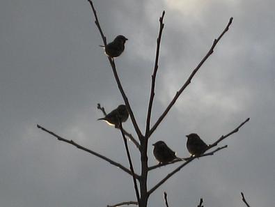 IMG_1632.jpg