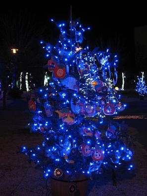 IMG_1666.jpg