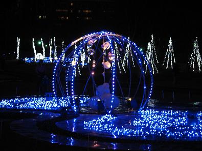 IMG_1674.jpg