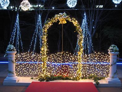 IMG_1684.jpg