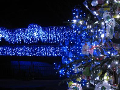 IMG_1690.jpg