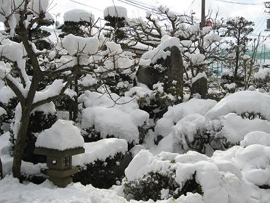 IMG_2010.jpg