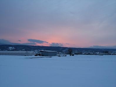 IMG_2042.jpg