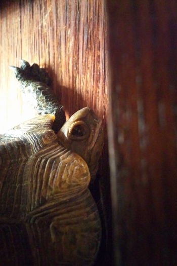 20140207-8.jpg