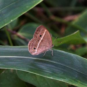 120924kua65 103
