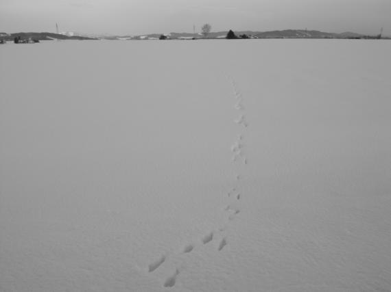 R0024607_convert_20140103215216.jpg